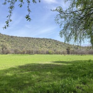 Reserva tu parcela en Fundo Valle las Camelias